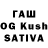 ГАШ hashish Sofia Shkuratov