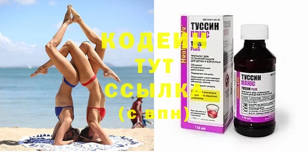 шишки Богородицк