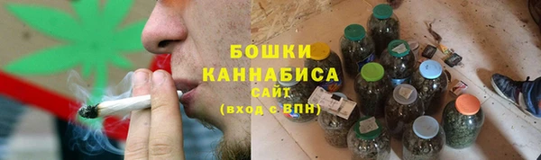 шишки Богородицк