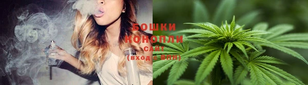 кокаин Богданович