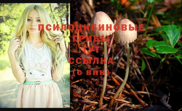 шишки Богородицк