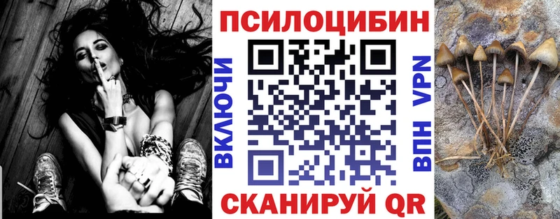 Псилоцибиновые грибы Cubensis  Великие Луки 
