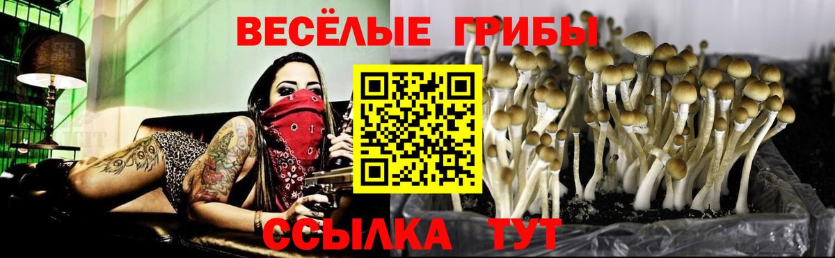 Великие Луки  Галлюциногенные грибы мицелий  Вход с VPN  Псилоцибиновые грибы мухоморы 