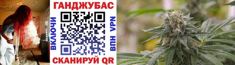 Бошки Шишки семена  где продают наркотики  Великие Луки 